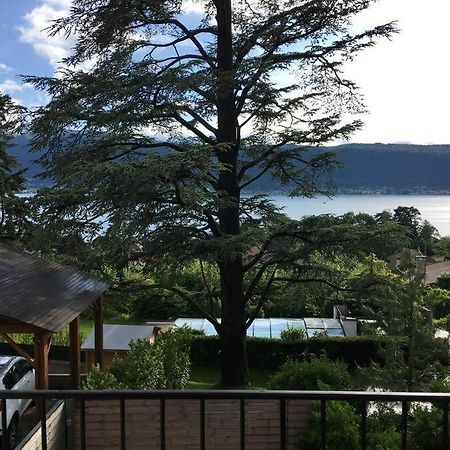 Charmant T2 Vue Lac Veyrier Du Lac / Annecy Екстериор снимка